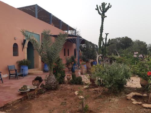 Un jardín fuera de Riad Douar Des Oliviers