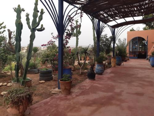Un jardín fuera de Riad Douar Des Oliviers