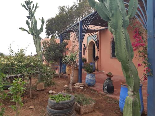 Un jardín fuera de Riad Douar Des Oliviers