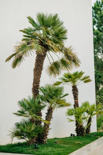 two palm trees in front of a building at Elite Bay Hotel Lalez Durres in Lalëz