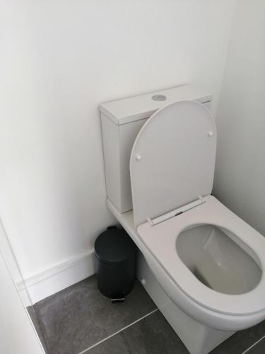 a bathroom with a white toilet and a trash can at Mews self catering in Kilpedder