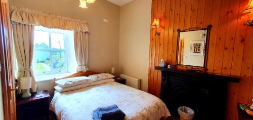 a bedroom with a bed and a fireplace and a mirror at The Harbour Masters House in Banagher