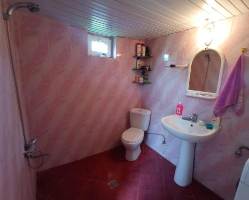 a bathroom with a toilet and a sink at Iamze's Guest House in Mestia