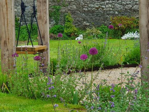 a garden with purple flowers and a bench at The Harbour Masters House in Banagher