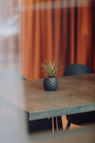 a black pineapple sitting on top of a table at Hôtel Prince Albert Gare de Lyon in Paris
