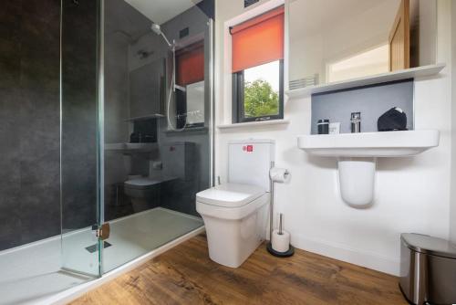 a bathroom with a toilet and a sink and a shower at Peaceful Bothy Retreat in Nairn