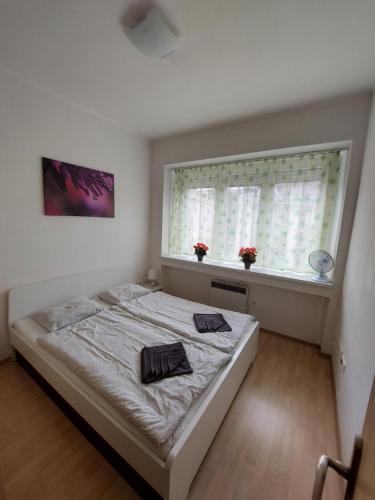 Posteľ alebo postele v izbe v ubytovaní Apartmán v centre Bratislavy