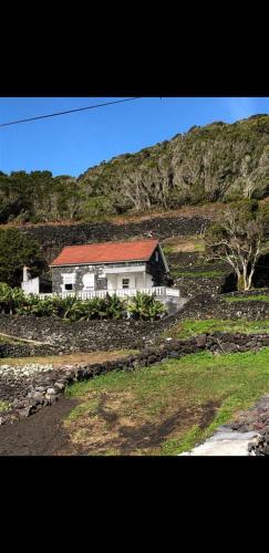Feiteira的住宿－Adega do Golfinho，田间中的房子