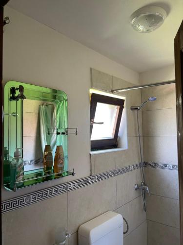 a bathroom with a green mirror and a toilet at Thethi Paradise in Theth