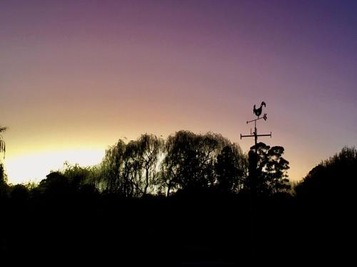 a weather vane with a bird on it at sunset at The shack life in Rensburgdorp