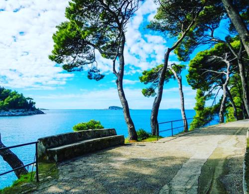 Gallery image of Luxury house Anita in old town Cavtat-beachfront in Cavtat