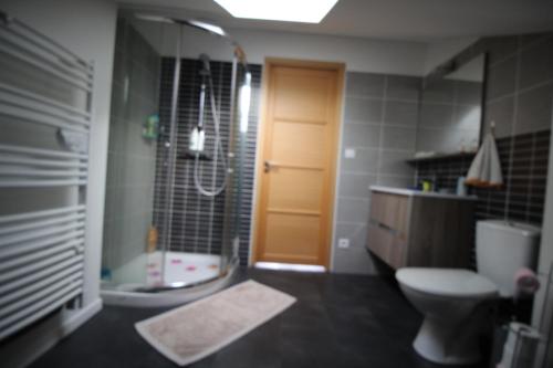 baño con aseo y ducha y puerta en Maison 2 chambres face à forêt, en Allogny