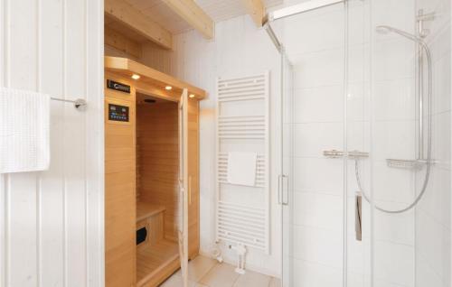 オルペニッツにあるCozy Home In Ostseeresort Olpenitz With Saunaのバスルーム(シャワー、ウォークインシャワー付)