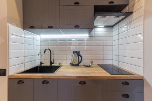 a kitchen with a sink and a mixer on a counter at Secret Apartments in Kyiv