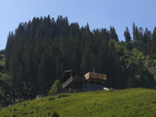 a house on top of a hill with a forest at Almhütte Andrea in Wildschönau