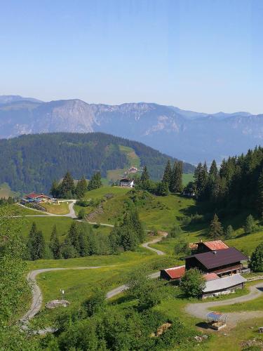 a green hillside with a house and a road at Almhütte Andrea in Wildschönau