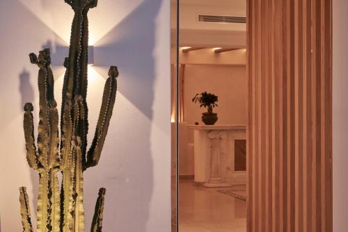 a cactus sitting in a room next to a mirror at Paradise View Hotel in Paradise Beach
