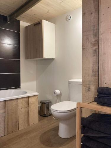 une salle de bain avec toilettes et lavabo dans l'établissement Le carrosse, la diligence, centre Saint Jean de Losne tarif 2pers 1 chambre, tarif 4 pers 2 chambres, à Saint-Jean-de-Losne