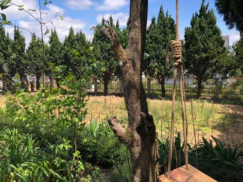 Taman di luar Pine Tree Homestay