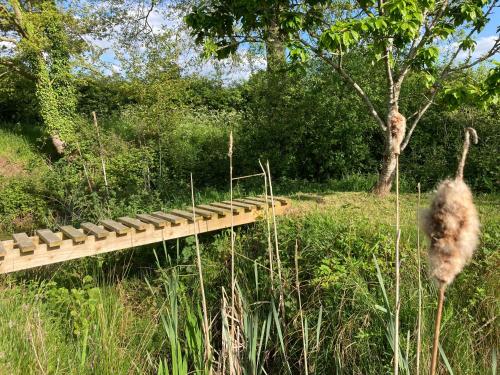 a wooden bridge in a field of tall grass at The Shepherd's Hut with cozy logburner in Wrexham