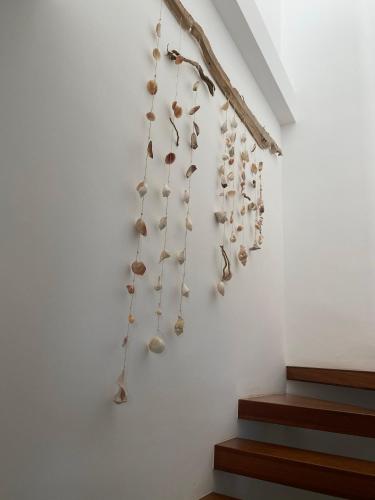 a bunch of shells hanging on a wall at Ponent Formentera in La Savina