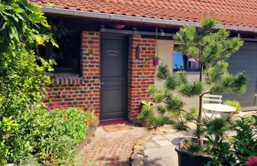 a brick house with a blue door and some plants at Studio Malow in Arques