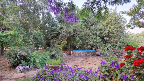 Κήπος έξω από το Villa Adama