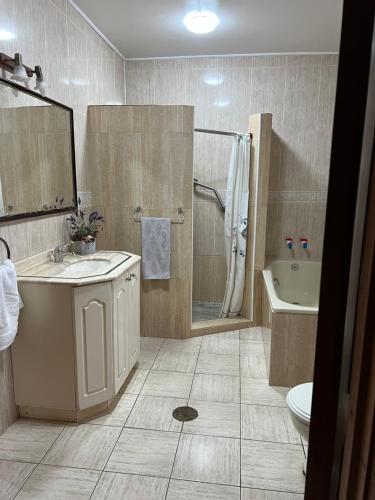 uma casa de banho com um lavatório, uma banheira e um WC. em Hostal Casa de Campo Rukaleufu a orillas del Rio Huiscapi em Villarrica