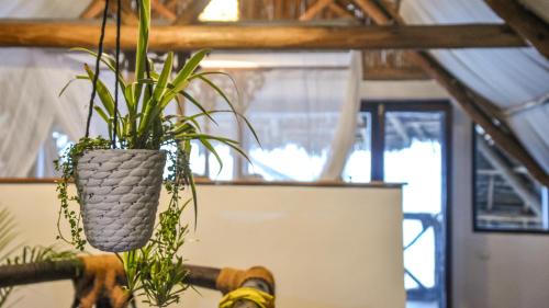 a plant in a vase hanging from a ceiling at Villa Malaika in Jambiani