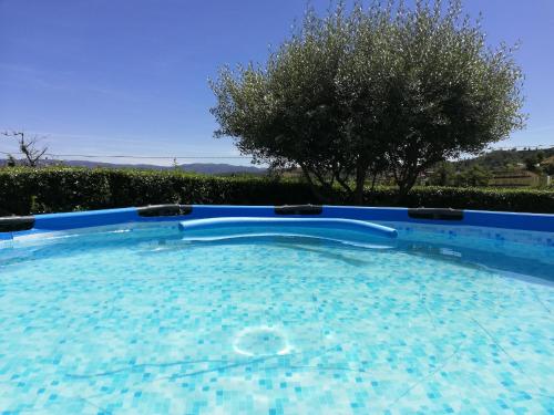 a large swimming pool with a tree in the background at Casa das Lages in Viariz