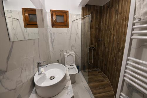 a bathroom with a sink and a toilet and a shower at Guesthouse Alexandros in Nestorio
