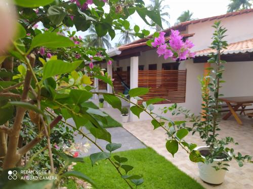 a view of the courtyard of a house with pink flowers at Casa Grande in Camocim