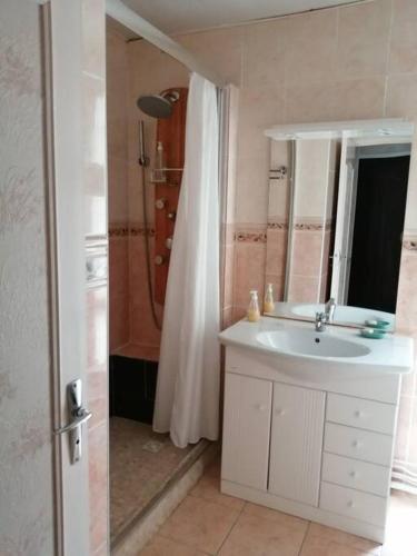 une salle de bain avec un lavabo blanc et une douche dans l'établissement La maison du Barbot Maison 6 couchages, à Gujan-Mestras