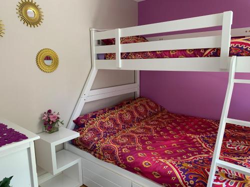 a bedroom with a bunk bed and purple walls at Kingsway Lodge in London