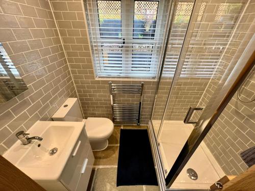 a small bathroom with a toilet and a sink at The Leat at The Old Mill in Tavistock
