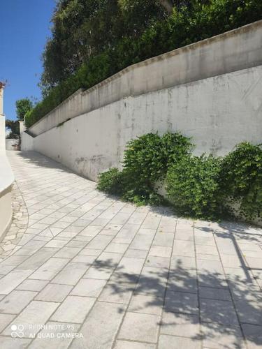 Φωτογραφία από το άλμπουμ του Villa Lucetta στο Οτράντο