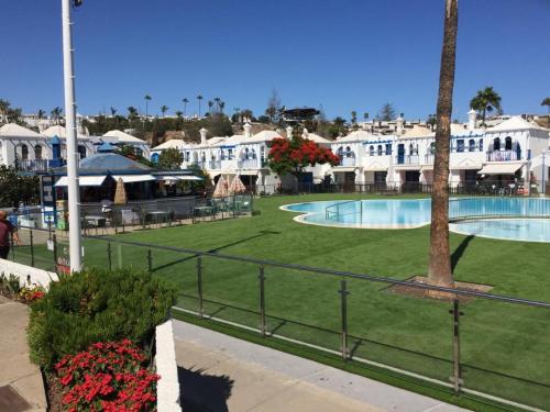 un cortile del resort con piscina e palma di Bungalow Playmar a Playa del Ingles