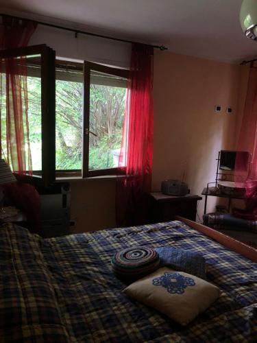 1 dormitorio con 1 cama con manta y ventana en Casa vacanze pila, en Charvensod