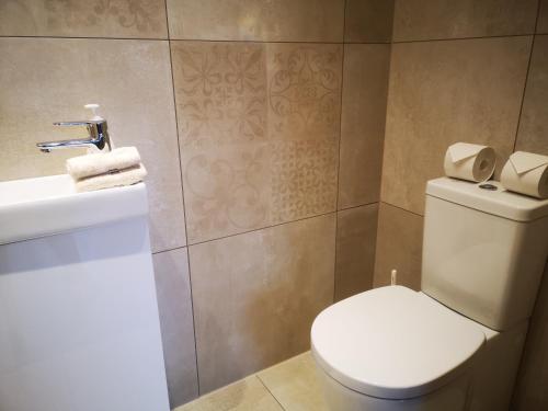 a bathroom with a white toilet and a sink at Poe Luxury in Tartu