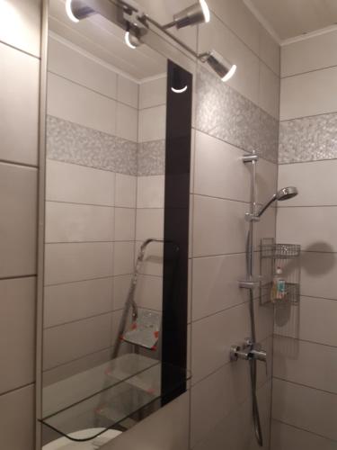 a shower with a glass door in a bathroom at Appartement Ferienwohnung LANG in Apetlon