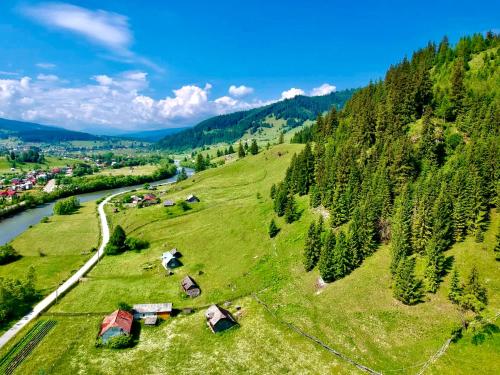 an aerial view of a green field with trees and a river at Casa Carmen in Dorna Arini