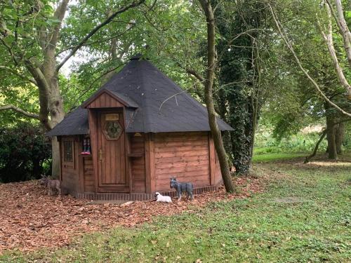 a dog sitting in front of a small wooden cabin at Starry Meadow & Rescued Animal Experiences in Great Yarmouth