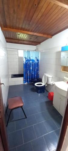 a bathroom with a toilet and a sink and a chair at Cabaña Aguara in Colonia Carlos Pellegrini