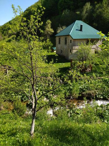 a tree in the grass next to a building at Seosko Domacinstvo Rijeke in Beran Selo