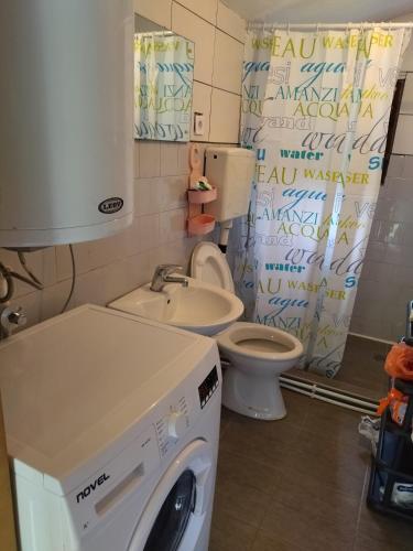 a bathroom with a washing machine and a toilet at Seosko Domacinstvo Rijeke in Beran Selo