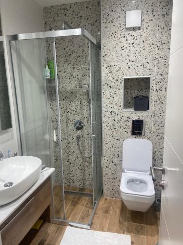 a bathroom with a shower and a toilet and a sink at Gomax apartman 4 in Zlatibor