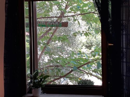 a window with a view of a tree at Raphael's in Verona Locazione turistica in Verona