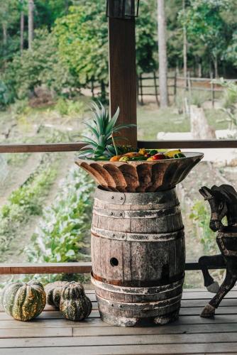 a basket of fruit sitting on top of a barrel at Blancaneaux Lodge by Francis Ford Coppola in San Ignacio