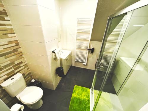 a bathroom with a toilet and a glass shower at -GALAXY SPA-JACUZZI-INSOLITE-4PERS-Jardin-SPA-CLIM in Holtzwihr