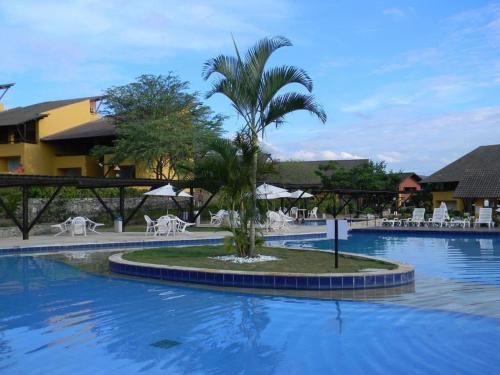 a palm tree in the middle of a swimming pool at Flat 419 - Winterville-Gravatá in Gravatá
